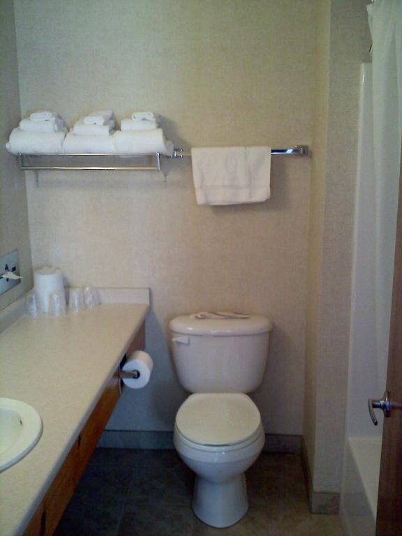 לייק פלאסיד Carriage House Motor Inn חדר תמונה